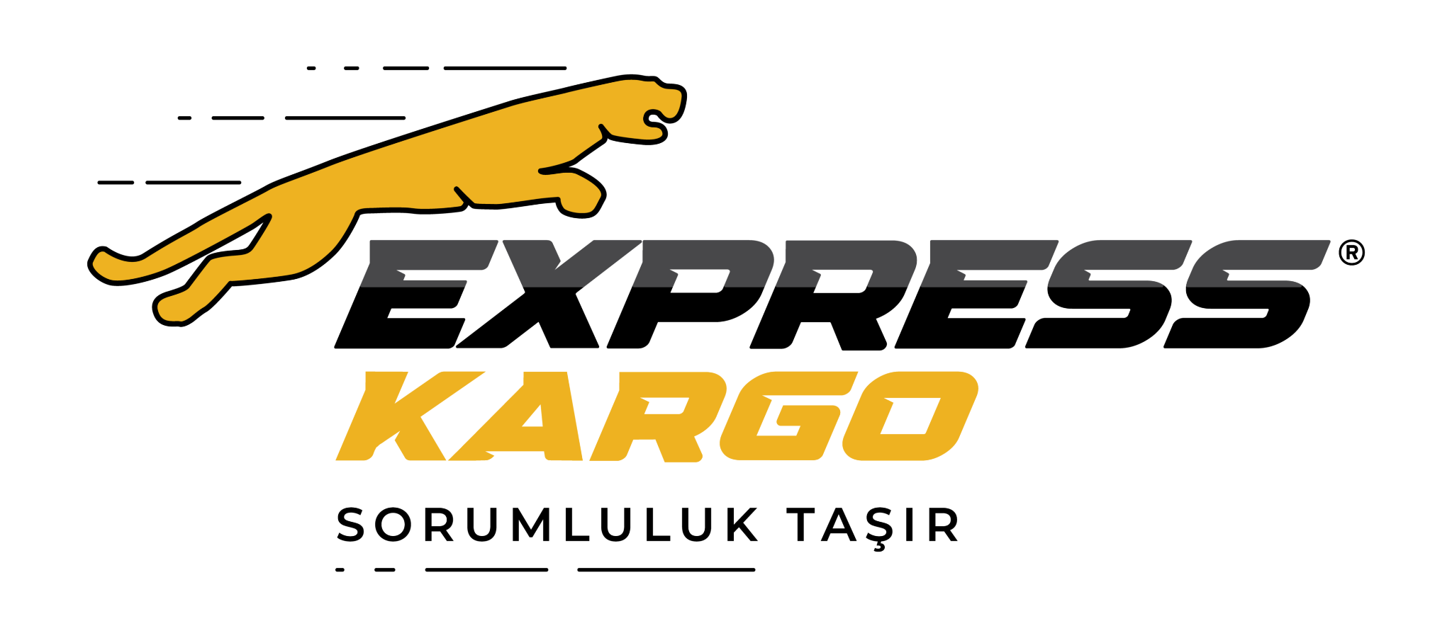 Express Kargo